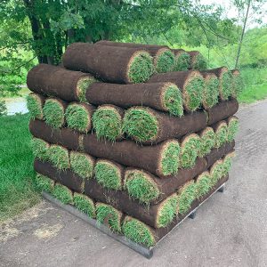 Landscaping Sod (Pickup Only)
